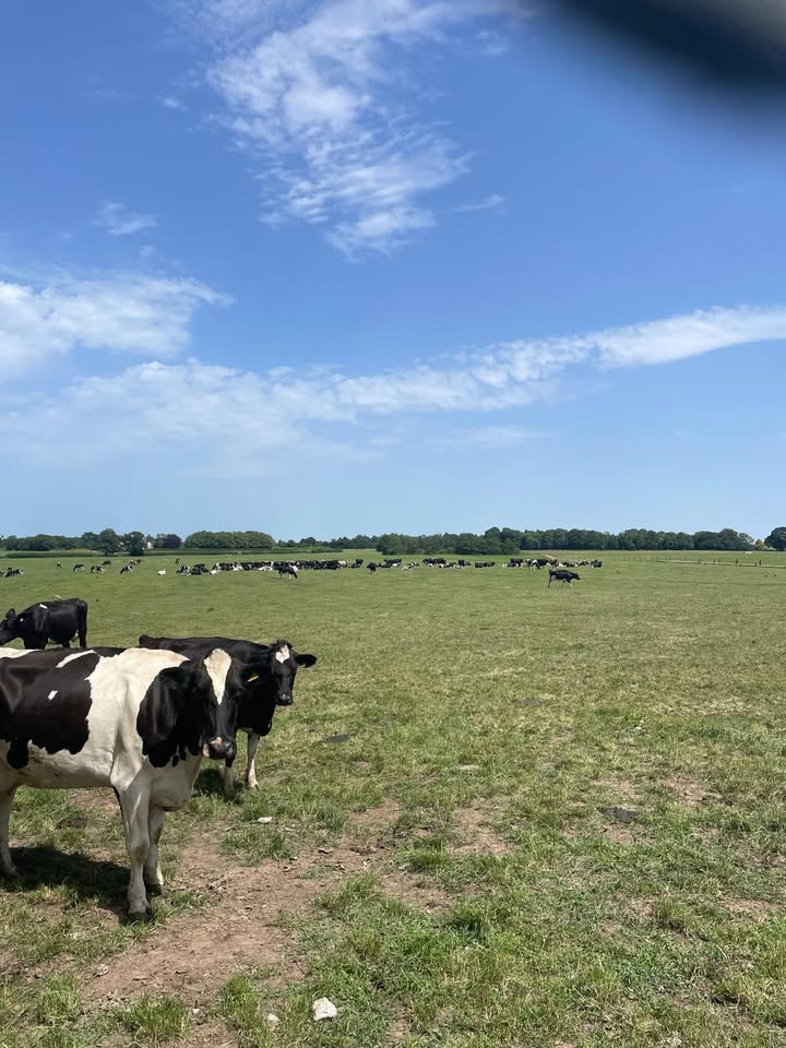 European Dairy Farmers - Danmark